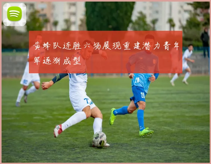黄蜂队连胜六场展现重建潜力青年军逐渐成型